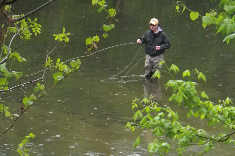 Smallmouth Bass Streams Fly Fishing Report - Update April 13, 2024