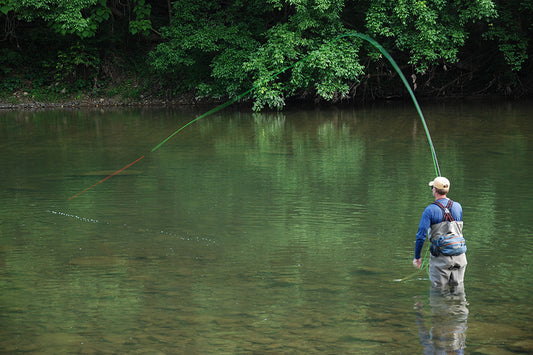 Smallmouth Bass Streams Fly Fishing Report - June 1, 2022