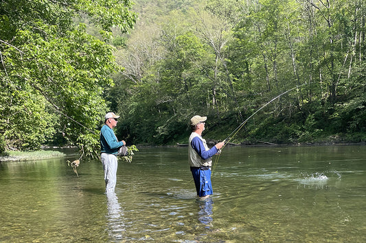 Smallmouth Bass Stream Fly Fishing Report - July 31, 2024