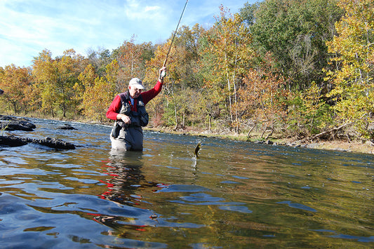 Smallmouth Bass Streams Fly Fishing Report - Update October 12, 2024