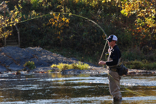 Smallmouth Bass Streams Fly Fishing Report - October 17, 2024