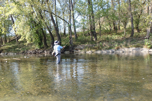 Smallmouth Bass Fly Fishing Report - October 18, 2023