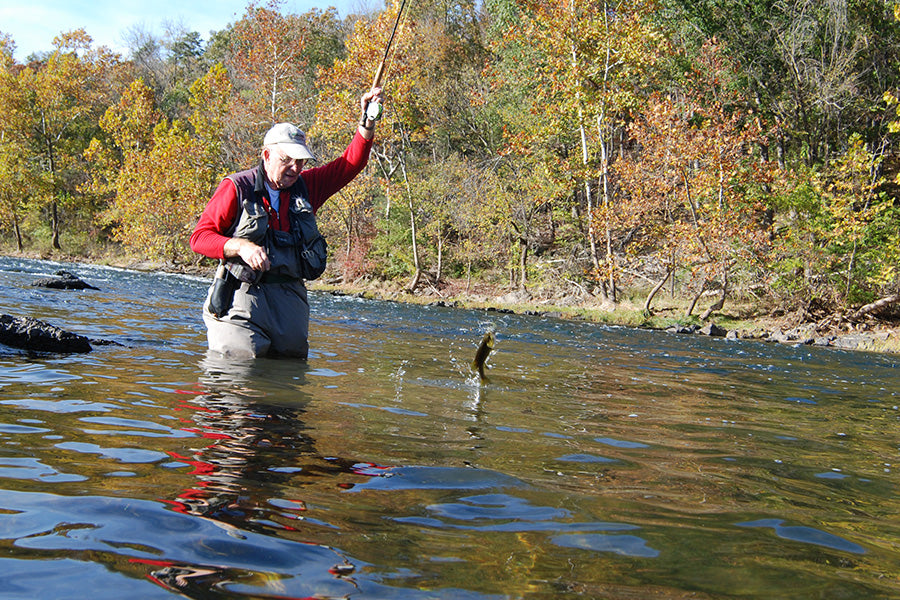 Smallmouth Bass Streams Fly Fishing Report - October 25, 2023