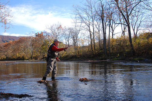 Smallmouth Bass Streams Fly Fishing Report - October 26, 2022