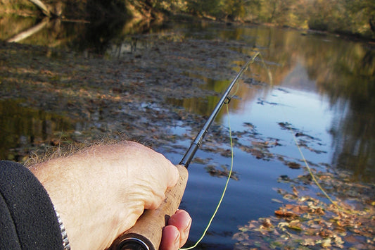 Smallmouth Bass Streams Fly Fishing Report - October 30, 2024