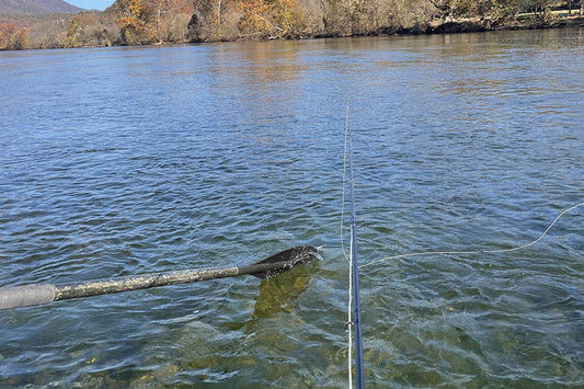 Smallmouth Bass Streams Fly Fishing Report - November 5, 2024