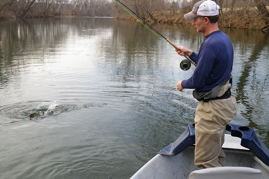 Smallmouth Bass Streams Fly Fishing Report - November 22, 2022