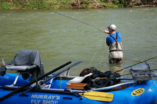 Smallmouth Bass Streams Fly Fishing Report - November 22, 2023