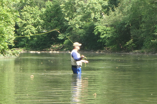 Smallmouth Bass Streams Fly Fishing Report - June 12, 2024