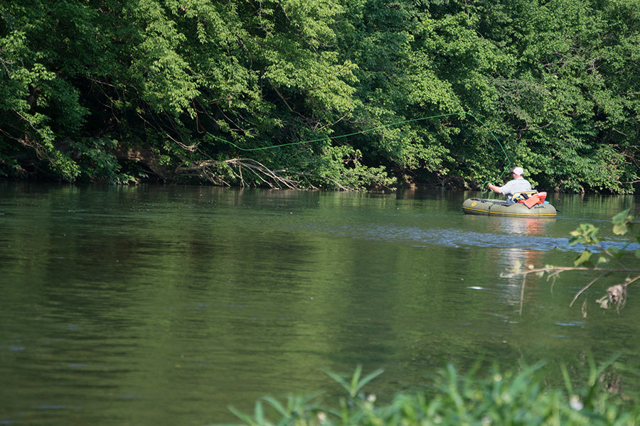 Smallmouth Bass Streams Fly Fishing Report - June 19, 2024