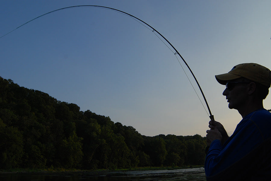 Smallmouth Bass Streams Fly Fishing Report -July 24, 2024