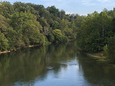 Smallmouth Bass Streams Fly Fishing Report - September 8, 2021