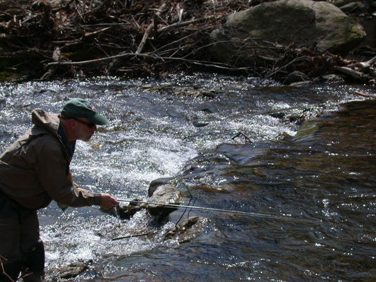 Mountain Trout Fly Fishing Shenandoah National Park