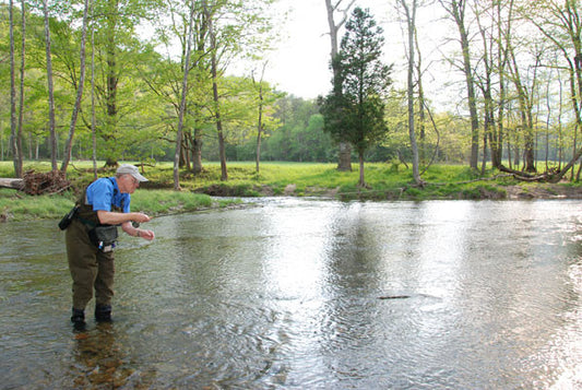 Harry Murray Fly Fishing