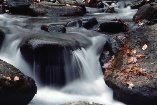 Trout Streams Fly Fishing Report - Update February 13, 2024