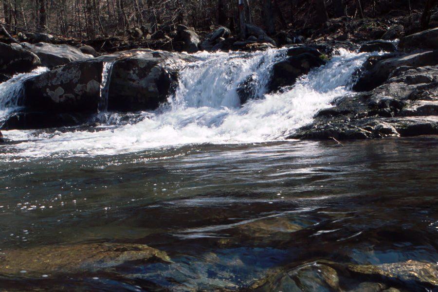 Trout Streams Fly Fishing Report - January 12, 2024