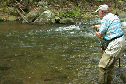 Trout Streams Fly Fishing Report - August 28, 2024