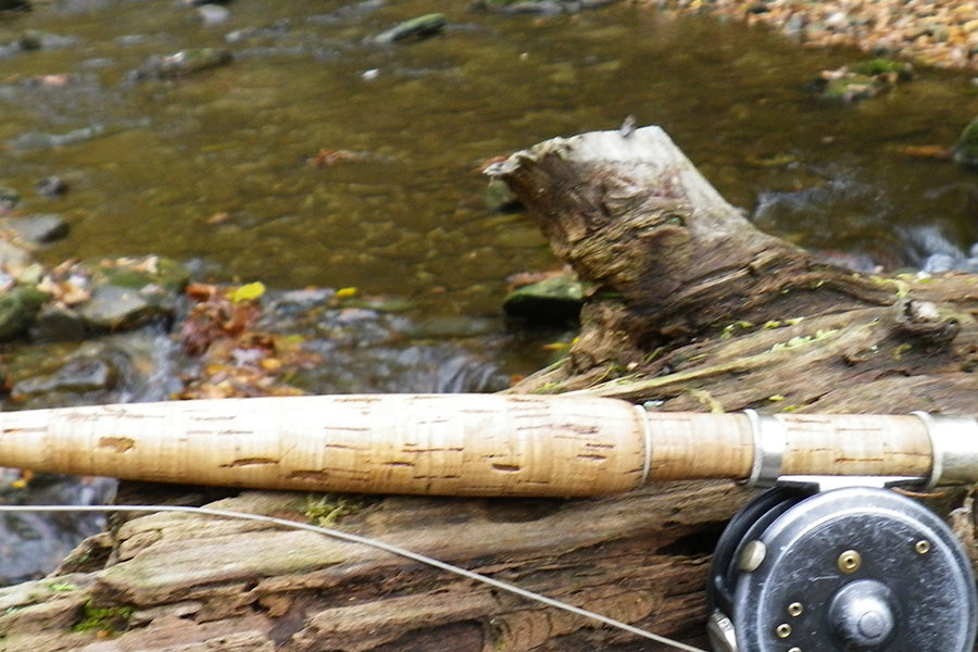 Trout Streams Fly Fishing Report - Update October 12, 2024