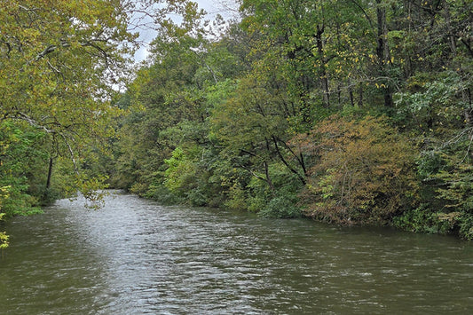 Trout Streams Fly Fishing Report - October 3, 2024