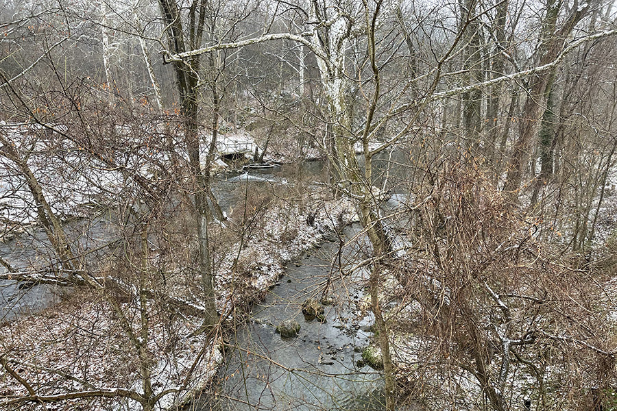 Trout Streams Fly Fishing Report - January 25, 2023