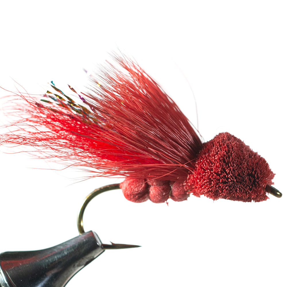 Murrays Bass Damselfly Red