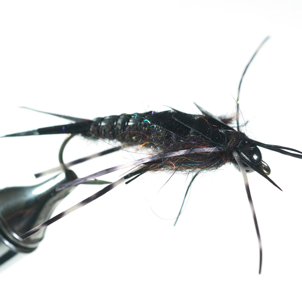 Tungsten Bass Stonefly Nymph