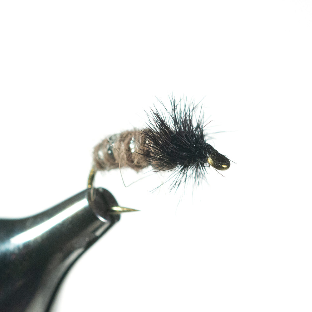 Murrays Caddis Larva