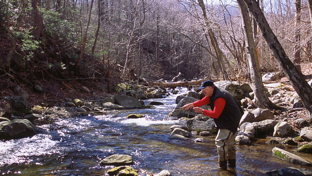 Fly fishing on a trout stream an angler stands in a rocky stream holding a fly rod surrounded by trees without leaves indicating it is early spring