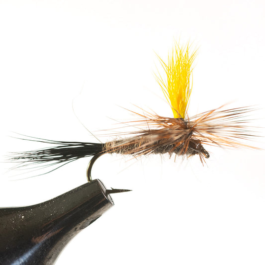 Hares Ear Mr. Rapidan Dry Fly