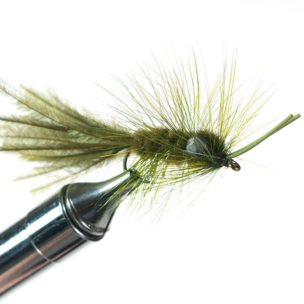 Murray's Heavy Hellgrammite, Olive