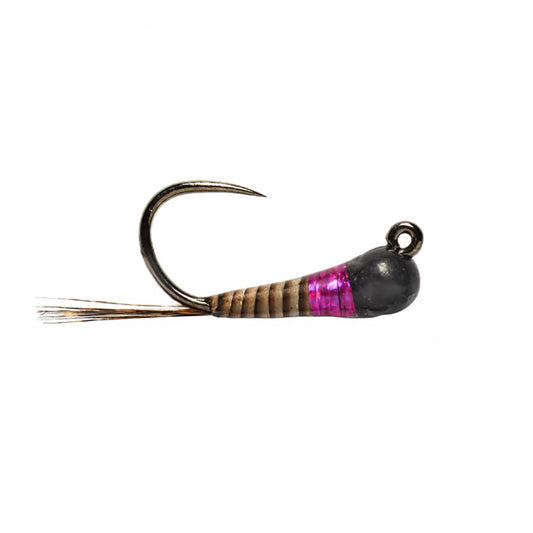 Holo Point Jig Barbless Nymph in Purple