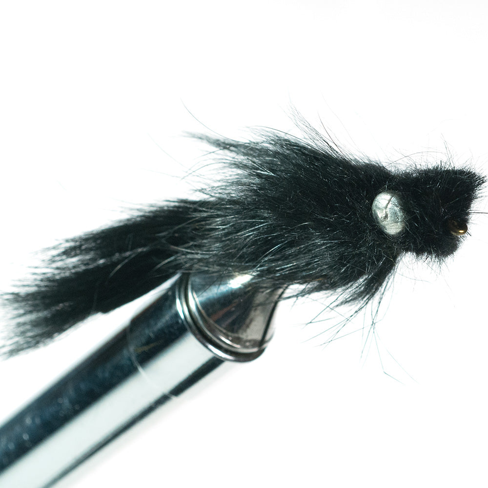 Murray's Madtom Sculpin, Black