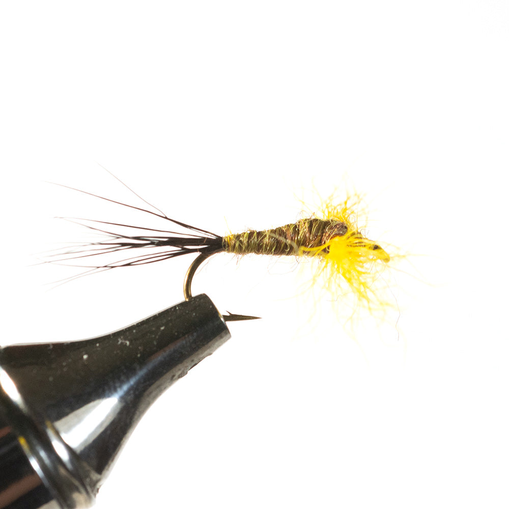 Mr. Rapidan Spinner