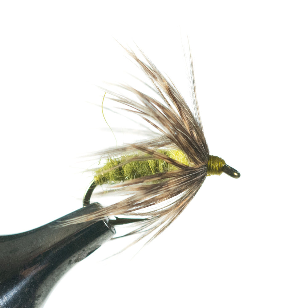 Mr Rapidan Soft Hackle Nymph Olive