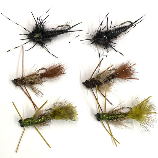 October Rainbow Trout Fly Special