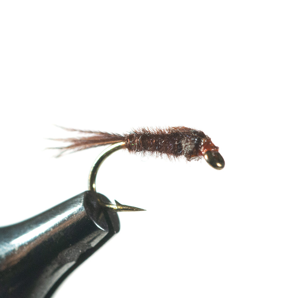 Pheasant Tail Nymph