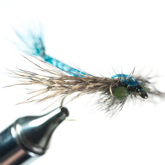 Spent Wing Bass Dragonfly Dry