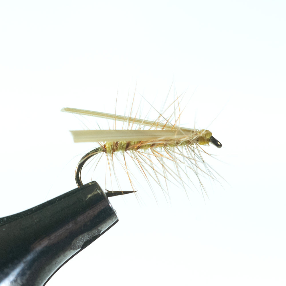 Murray's Little Yellow Stonefly Dry