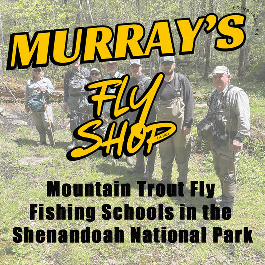 Mountain Trout Fly Fishing School - Shenandoah National Park