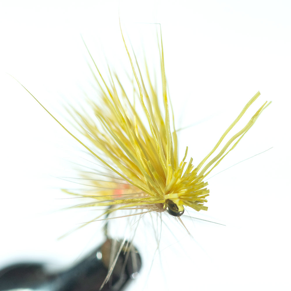 Little Yellow Stonefly Dry