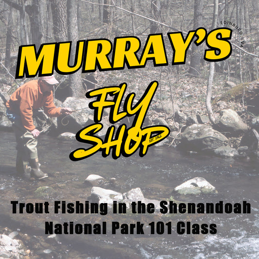 Trout Fishing in the Shenandoah National Park 101 Class