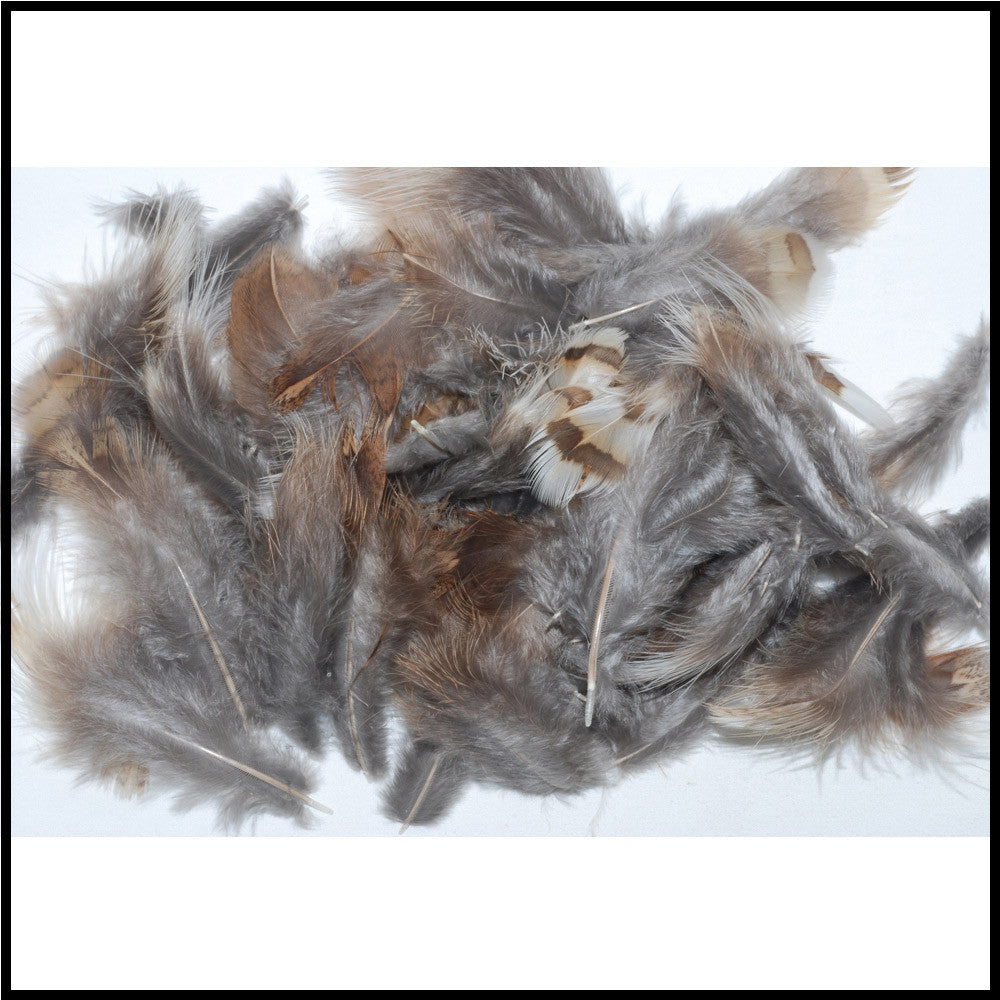 Ruffled Grouse Body Feathers