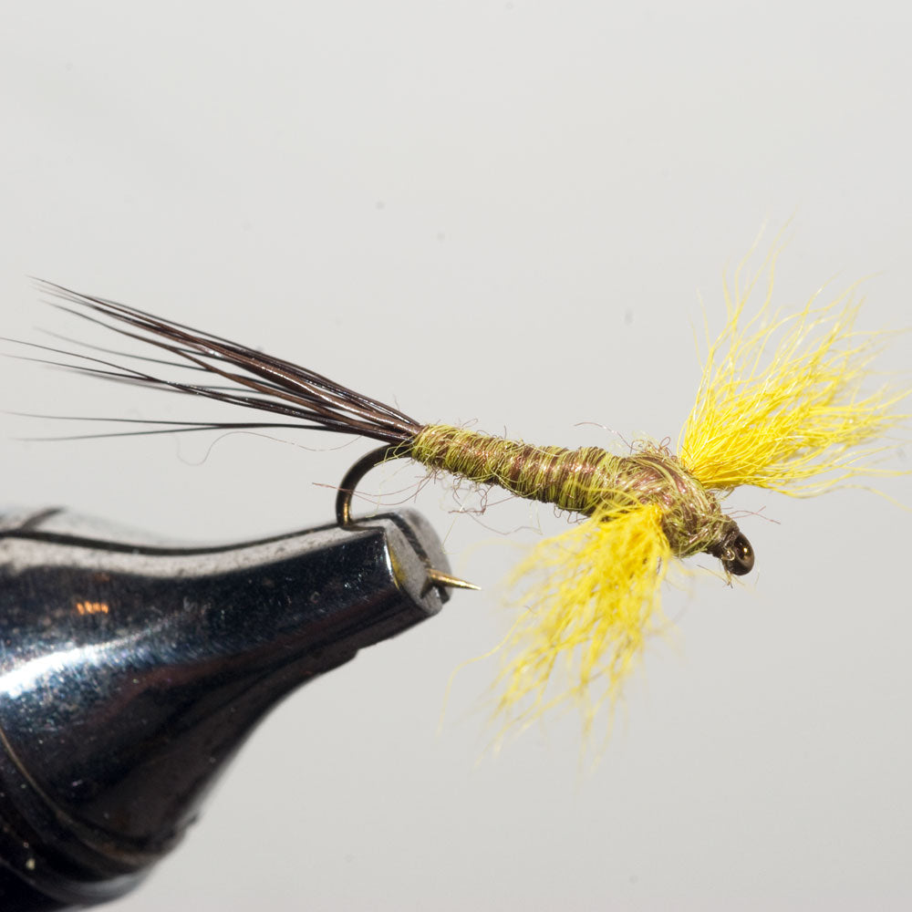 Mr. Rapidan Spinner