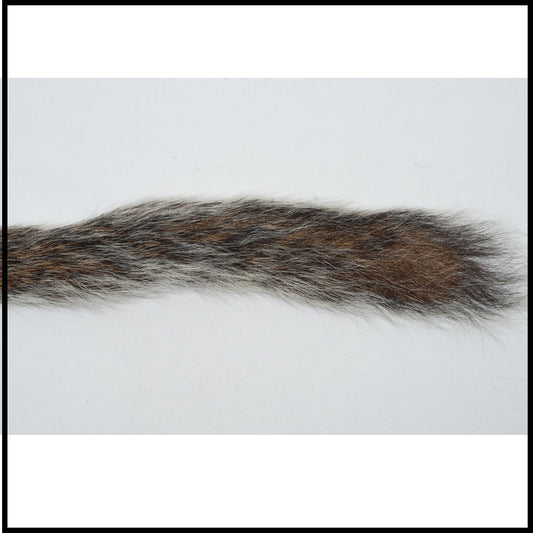 Squirrel Tail