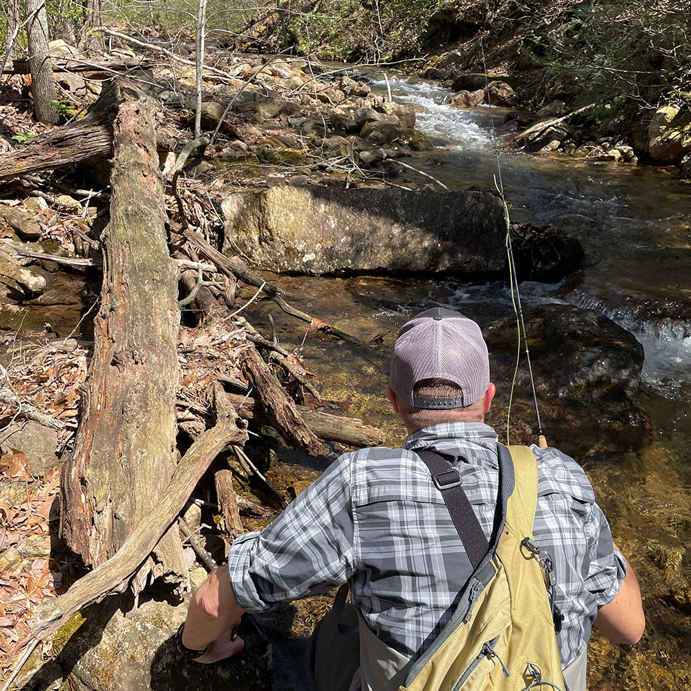 Native Brook Trout fly fishing on a small mid Atlantic stream - Virginia brook trout fly fishing