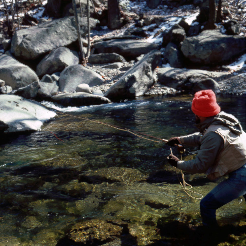 Trout Shenandoah in the Shenandoah National Park 101